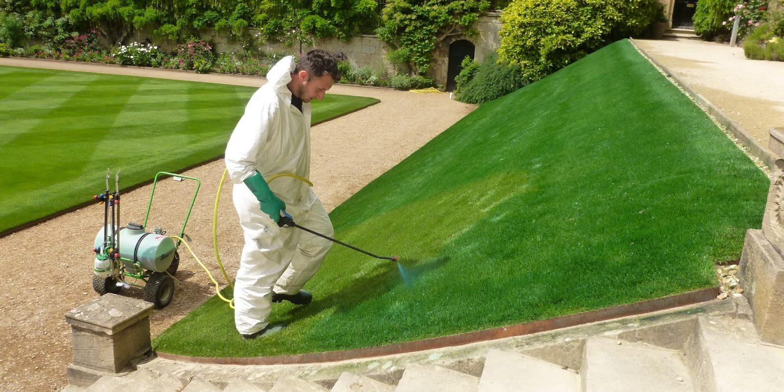lawnpaint